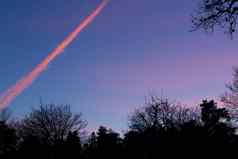 飞机烟雾使粉红色的设置太阳天空阴影蓝色的粉红色的轮廓树前景