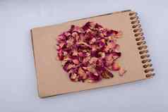 干玫瑰花瓣螺旋笔记本