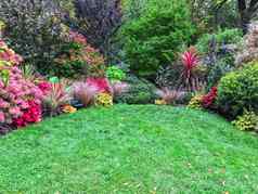 色彩斑斓的植物周围绿色草坪上
