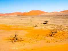 景观死树红色的沙丘纳米布沙漠Namib-Naukluft国家公园纳米比亚非洲