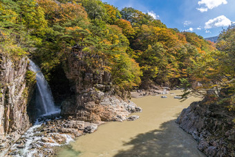 <strong>龙</strong>阳喉咙日<strong>兴</strong>tochigi日本