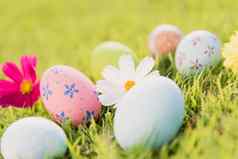 快乐复活节!特写镜头色彩斑斓的复活节鸡蛋绿色草场