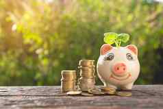钱堆栈一步日益增长的钱小猪银行概念金融