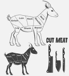 英国猫山羊动物图肉