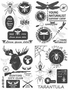 集古董蜂蜜蜜蜂标签徽章设计元素