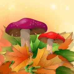 红色的蘑菇秋天叶子光背景