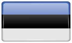 旗帜爱沙尼亚形式磁铁冰箱反射光