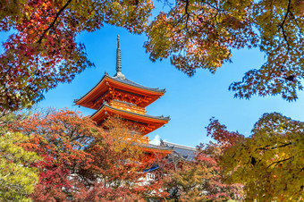 清水寺秋天《京都议定书》日本