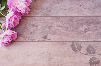 粉红色的牡丹花木背景风格市场营销摄影风格股票摄影博客头图像博客