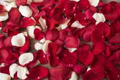 关闭红色的白色玫瑰花瓣木背景花背景红色的玫瑰股票摄影风格市场营销摄影婚礼礼物卡情人节一天母亲一天背景前视图