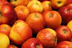 篮子新鲜的红色的苹果水果
