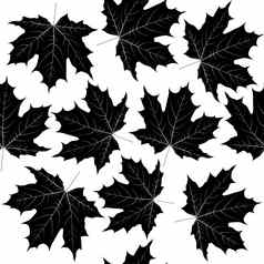 无缝的模式黑色的叶子
