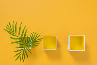 棕榈树叶子盒子明亮的黄色的背景