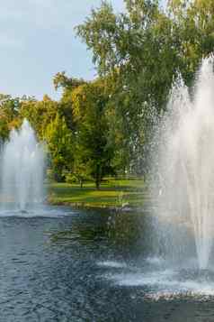 喷泉池塘清晰的水绿色草坪上树海岸美丽的的地方放松