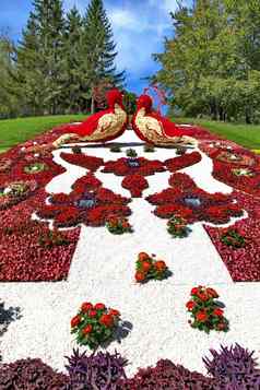 华丽的花圃公园红色的花形式