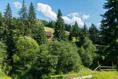 美丽的小屋日志房子阴影绿色松柏科的树山腰的地方家庭休息