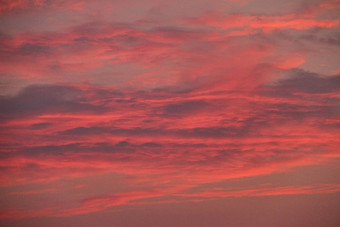 美晚上天空苍白的粉红色的云覆盖