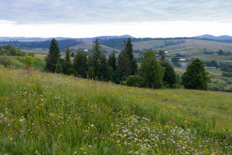 绿色草地山坡上日益增长的野花背景房子屋顶谷可见距离
