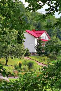 优雅的视图绿色树叶树豪华的房子平铺的屋顶站在美丽的自然密集的森林