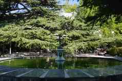 娱乐区域巨大的喷泉石头雕塑中心背景绿色松柏科的树