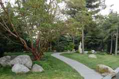 绿色公园美丽的雕塑庞大的树算石头说谎路径