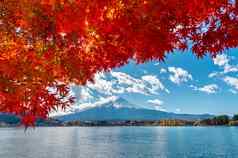 秋天季节富士山河口湖湖日本