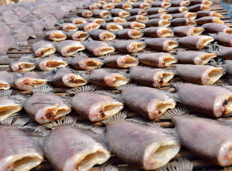 太阳干salid鱼烹饪出售市场泰拉