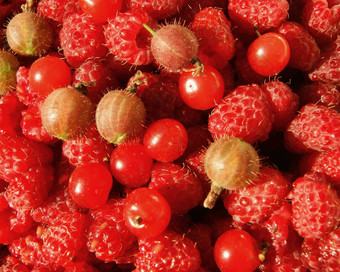 浆果树莓醋栗樱桃