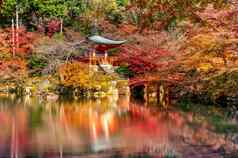 醍寺庙秋天《京都议定书》日本秋天季节