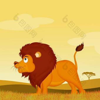 <strong>狮子</strong>非洲景观