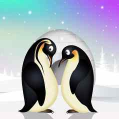 夫妇企鹅