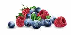 树莓蓝莓草莓