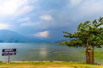 照片云湖山树反射水博卡拉湖加德满都尼泊尔提前肖像景观宽屏幕古董电影自然自由环境概念