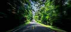 空沥青路速度运动模糊高速公路夏天绿色树森林农村