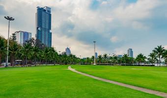 绿色草场行人路椰子树城市公园海现代建筑背景