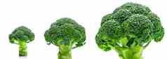 集绿色西兰花芸苔属植物oleracea蔬菜自然源β胡萝卜素维生素维生素纤维食物叶酸新鲜的西兰花卷心菜孤立的白色背景