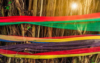 颜色织物包装树耀斑光信仰泰国人方法<strong>保护环境</strong>保护树减少
