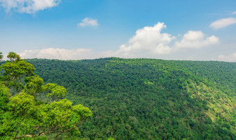 美丽的视图热带热带雨林克鲁特刁戴曼菊悬崖考县Yai国家公园泰国世界遗产绿色密集的高树山蓝色的天空积云云