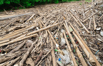干竹子塑料袋红树林森林<strong>浪费</strong>海问题全球气候变暖温室效果家庭<strong>浪费</strong>问题环境环境问题塑料<strong>浪费</strong>