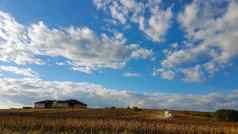 结合收割机割草向日葵场蓝色的天空白色云