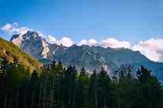 山脊森林前面石头萨文斯卡阿尔卑斯山脉斯洛文尼亚