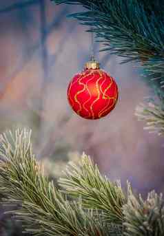 圣诞节球挂松树