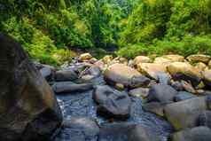 岩石河丛林KhlongPhanom国家公园易拉罐克鲁特