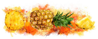 菠萝白色背景水彩插图
