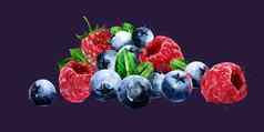 树莓小红莓蓝莓黑暗背景水彩插图