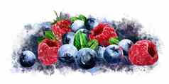 树莓小红莓蓝莓白色背景水彩插图