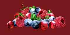 树莓小红莓蓝莓红色的背景水彩插图
