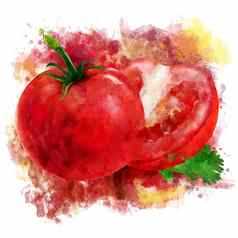 番茄白色背景水彩插图