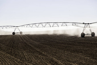 自动灌溉系统麦片场