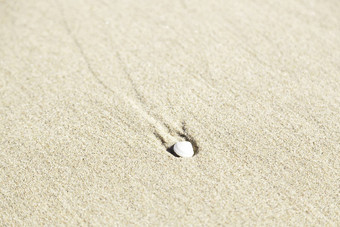 壳牌海滩沙子